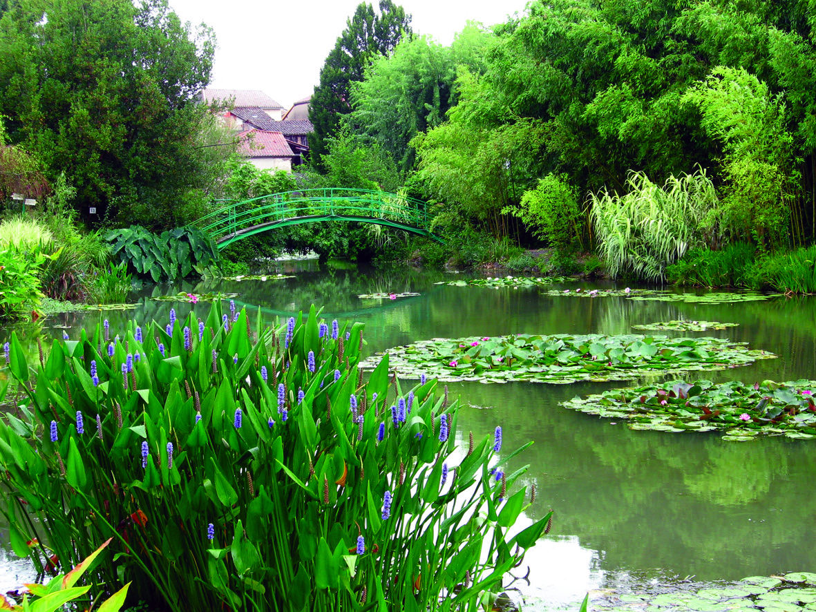 Réalisation Impak TP